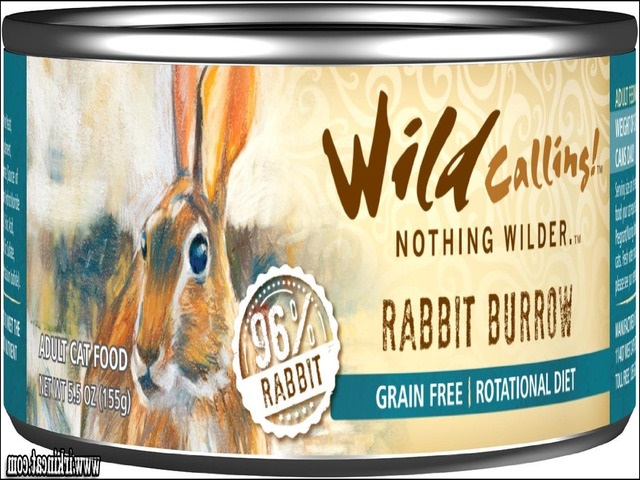 Best Canned Kitten Food