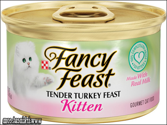 Fancy Feast Kitten Food