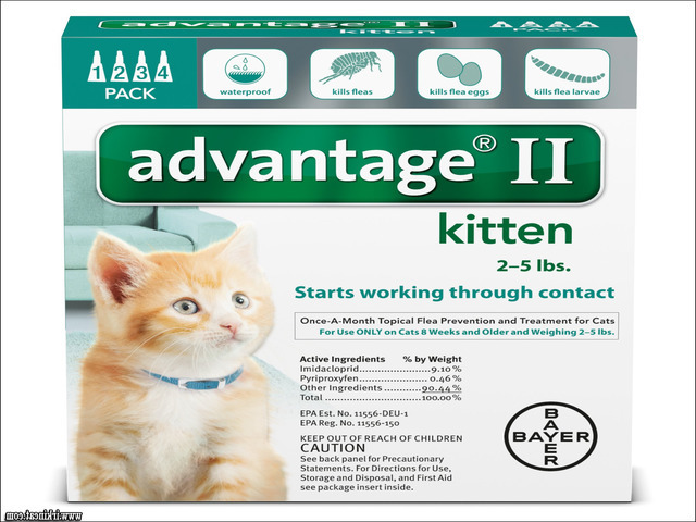 Flea Medicine For Kittens