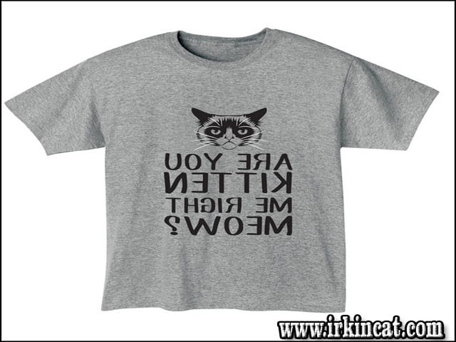 are-you-kitten-me-right-meow-shirt An Actionable Plan on Are You Kitten Me Right Meow Shirt in Step by Step Order