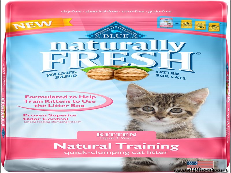 Whispered Best Kitty Litter For Kittens Secrets