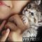The Good, the Bad and Adopt A Baby Kitten