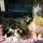 Top Adopt A Kitten Nj Reviews!