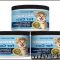 Top Best Food For Kittens Guide!