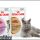 The Run Down on Best Wet Cat Food For Kittens Exposed