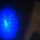 Black Light Cat Urine – the Conspiracy