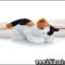 Calico Cat Stuffed Animal Features Calico Cat Stuffed Animal Features