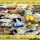 The Hidden Treasure of Calico Critters Sale Clearance