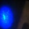 Definitions of Cat Urine Black Light Definitions of Cat Urine Black Light