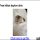 The Biggest Myth About Free Kittens Dayton Ohio Exposed