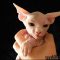 The Lost Secret of Free Kittens Erie Pa