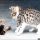The Most Popular Free Kittens In Va