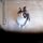 The New Angle On Free Kittens Vancouver Wa Just Released