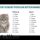 The Unusual Details Into Good Names For A Black Cat That Some People are not Aware Of