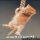 The Ideal Approach for Hang In There Kitten Poster