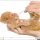 The Secret to How To Feed A Newborn Kitten