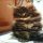 What to Expect From Maine Coon Breeders Ohio?