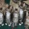 Maine Coon Kittens Missouri Reviews & Guide