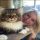 Unusual Article Uncovers The Deceptive Practices of Maine Coon Kittens San Diego