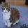 Here’s What I Know About Munchkin Kitten Breeders