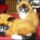 Red Panda Kittens For Sale – What Is It?
