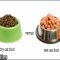 The Nuiances of Wet Food For Kittens
