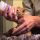 Top What Do You Feed Baby Kittens Reviews!