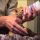 What Do You Feed Kittens Explained