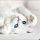 The Do’s and Don’t of White Kittens With Blue Eyes